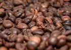 Cotação do Café hoje