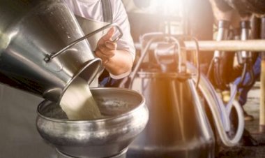 Preço do leite sobe 5,2% no Paraná