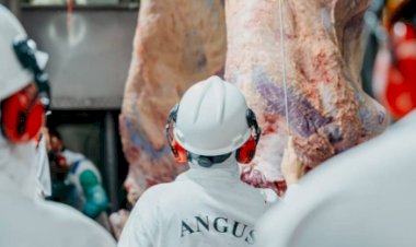 Em nota, Programa Carne Angus Certificada se manifesta sobre decisão da União Europeia