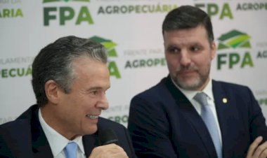 Lupion diz que FPA voltou a construir “ponte de trabalho” com Mapa