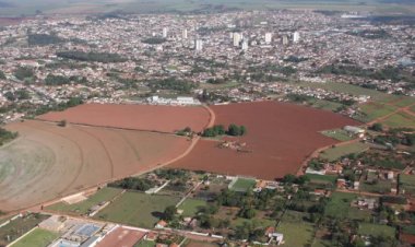 Café, laranja e jabuticaba: como o agro deu nome a cidades paulistas