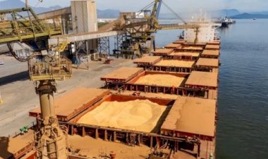 Acordo China-EUA agita mercado da soja, mas Brasil mantém força nas exportações
