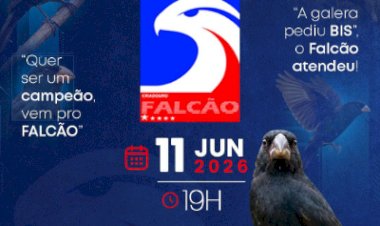 Leilão Virtual Falcão