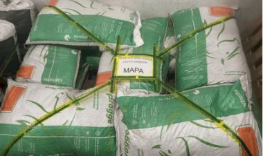 MP de São Paulo processa Nutratta em R$ 10 milhões após morte de centenas de cavalos