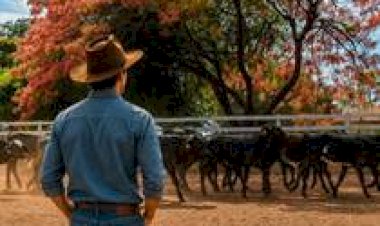Projeto voltado à sucessão familiar estreia durante a Megaleite em Minas Gerais