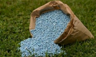 Demanda fraca marca mercado de fertilizantes