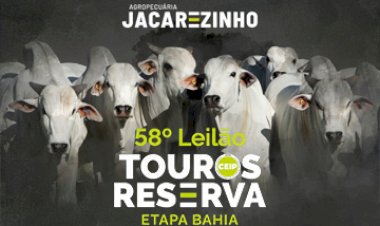 58º LEILÃO TOUROS RESERVA - AGROPECUARIA JACAREZINHO - ETAPA BAHIA