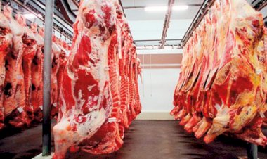 Apatia do mercado chinês acende alerta para a carne bovina brasileira