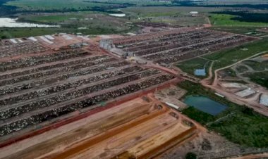 JBJ e Fazenda Conforto desistem de negócio envolvendo confinamento de gado em Goiás