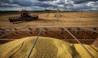 Produtor do Tocantins alcança produtividade de 76 sacas de soja por hectare na safra 2025/26