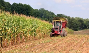 Cotações Agropecuárias