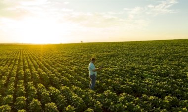 Gigante do agro inicia nova fase focada no Brasil