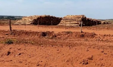 MPMS apura possível degradação de mais de 400 nascentes em plantações