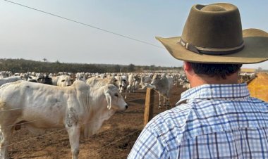 Dia do Pecuarista: Das invernadas para as mesas do mundo; ouça depoimentos