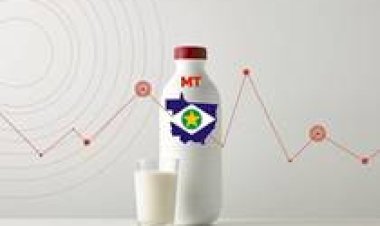 Conseleite/MT registra ajuste positivo de 2% no leite pago em julho de 2026