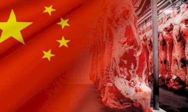Recorde nas exportações de carne bovina fica sob ameaça de China e União Europeia