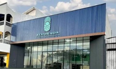 CADE aprova compra de três empresas agropecuárias pela Alvorada em Minas e Bahia