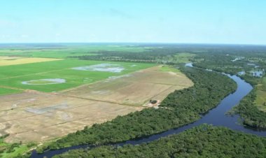 Estudo aponta que R$ 92,4 bilhões do crédito rural foram destinados a imóveis com alertas ambientais