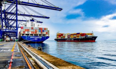 Brasil mantém diálogo técnico com União Europeia sobre requisitos sanitários para exportação de produtos de origem animal