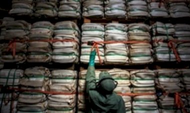 Mercado bilionário atrai uma nova corrida ao Brasil