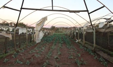 Produtores afetados por temporal em Ribeirão Preto terão crédito emergencial de até R$ 150 mil