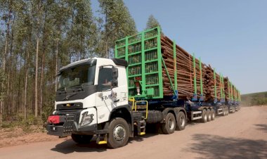 Hexatrens da Suzano são autorizados a circular em rodovias de MS