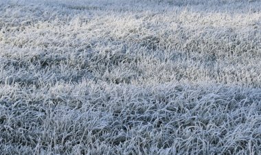 Avanço de ar polar traz frio intenso ao Centro-Sul