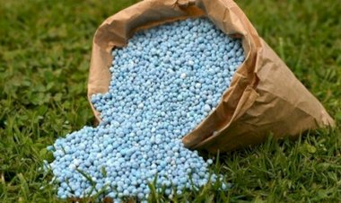 Programa que impulsiona produção de fertilizantes vai à sanção