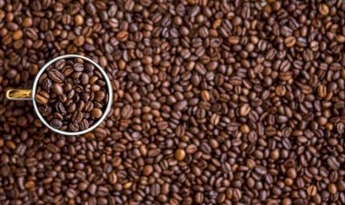 Brasil reduz custos e amplia voz no novo acordo do café
