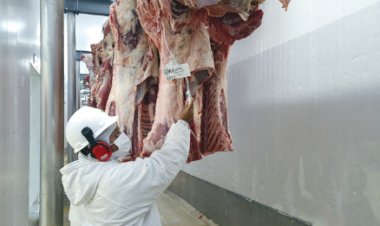 Carne bovina: Brasil reacende aposta na Coreia do Sul, que paga US$ 10 mil/t para cortes resfriados