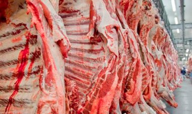 Carne bovina: Queda nos volumes exportados é suavizada por preços internacionais firmes