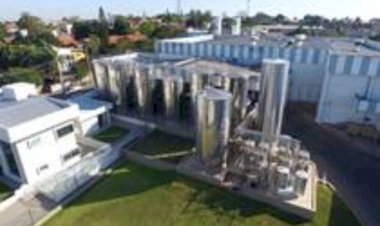 Catupiry desembarca no Paraná ao adquirir operação brasileira da gigante americana Leprino Foods
