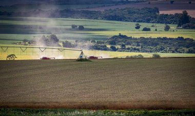 Gasto com renegociação poderia proteger mais de R$ 112 bilhões com seguro rural