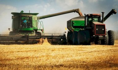 Mercados agrícolas abrem setembro com ajustes