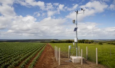 Produtores de Mato Grosso passam a usar sistema agrometeorológico do Inmet