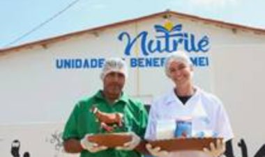 Fábrica de leite de cabra em pó no sertão da Paraíba realiza 1ª venda de R$ 6 mi