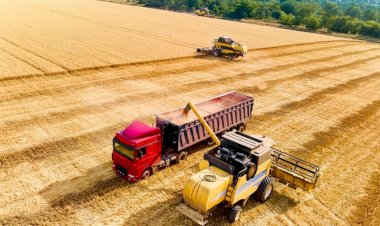 Fretes agrícolas têm comportamento distinto entre regiões em julho