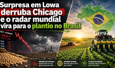 Surpresa em Lowa derruba Chicago e o radar mundial vira para o plantio no Brasil