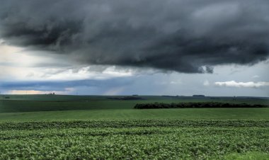 Chuva irregular pode atrasar plantio de soja em MT e GO