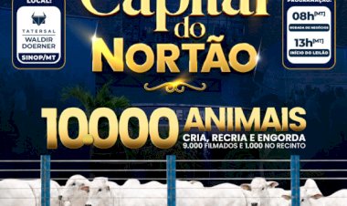7º LEILÃO CAPITAL DO NORTÃO