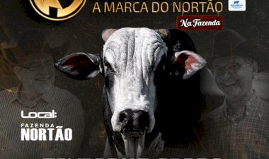 16º LEILÃO NELORE WS
