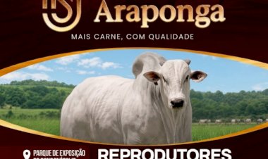 15º LEILÃO NELORE ARAPONGA