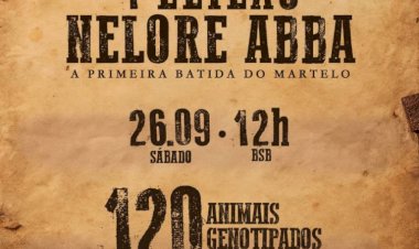 1º LEILÃO NELORE ABBA