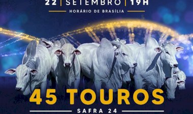 8º LEILÃO MARCA SOL