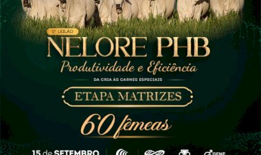 1º LEILÃO NELORE PHB - ETAPA MATRIZES