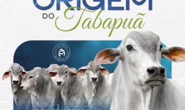 LEILÃO VIRTUAL ORIGEM DO TABAPUÃ - FAZENDA ÁGUA MILAGROSA