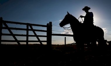 “Estamos fugindo da contratação”: o que tem levado o produtor a evitar Seguro Rural?