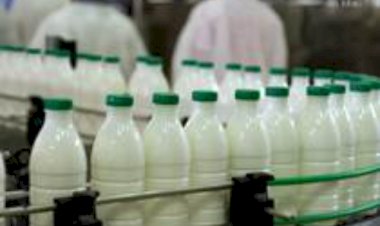 Preço do leite UHT sobe 1,78porcento em agosto, na contramão da queda dos alimentos