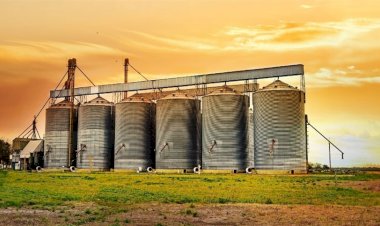 Brasil amplia diversidade de insumos para rações
