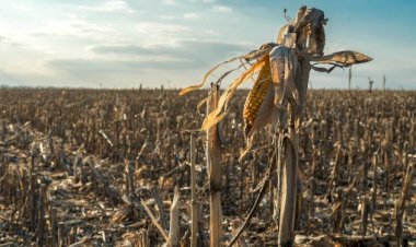Carta Aberta da Frente Parlamentar da Agropecuária